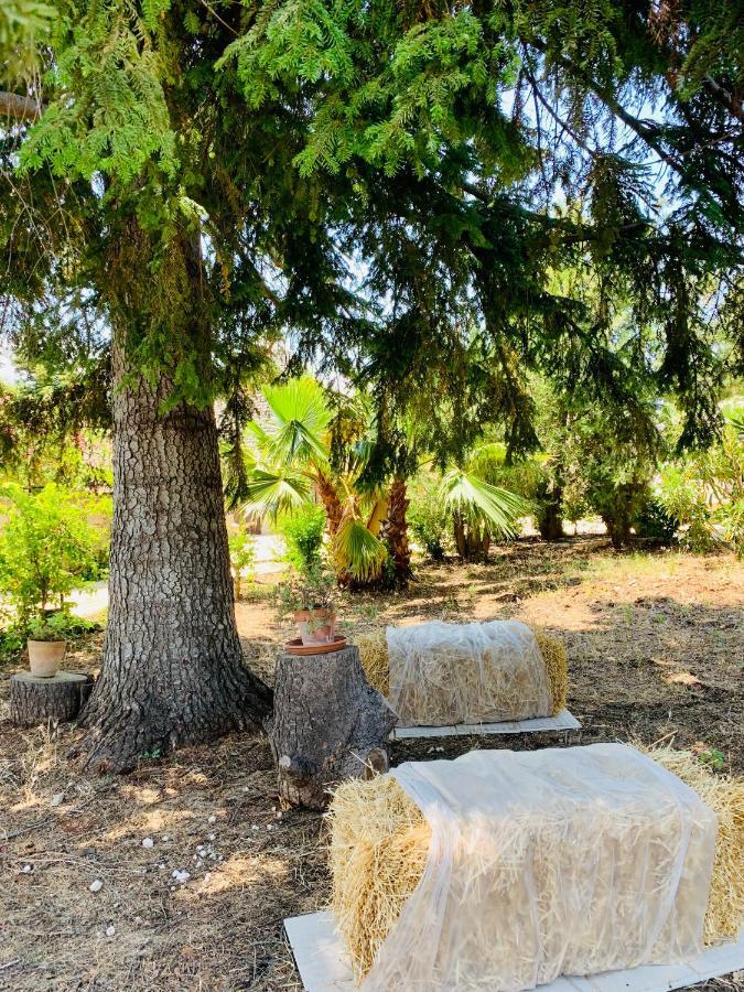 Trulli Pietra Viva Βίλα Αλμπερομπέλο Εξωτερικό φωτογραφία