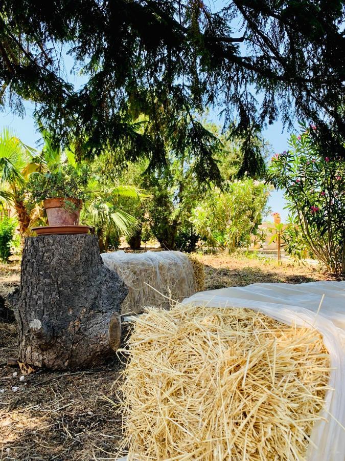 Trulli Pietra Viva Βίλα Αλμπερομπέλο Εξωτερικό φωτογραφία